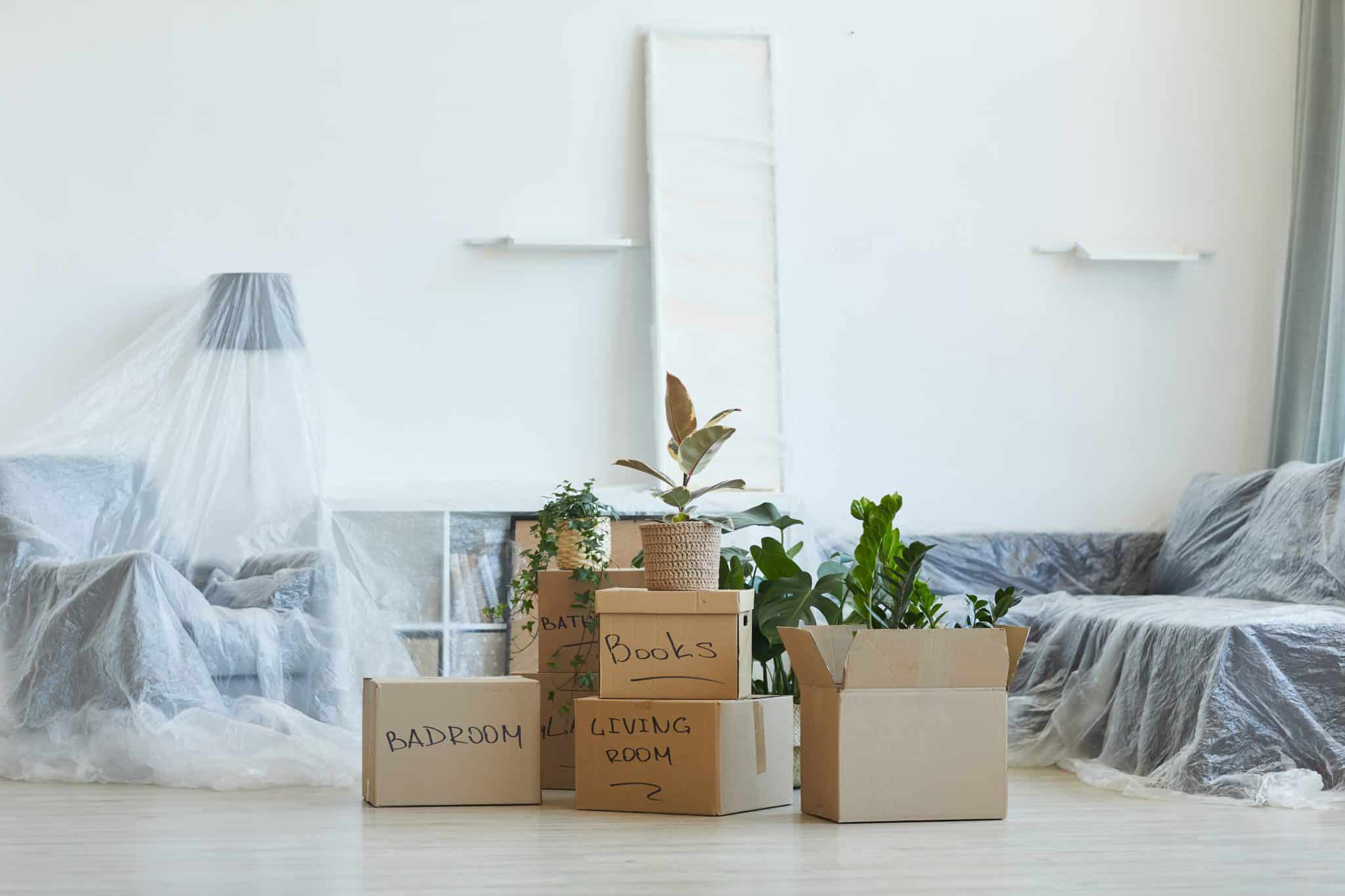 Quelle est l’importance des cartons de déménagement ?